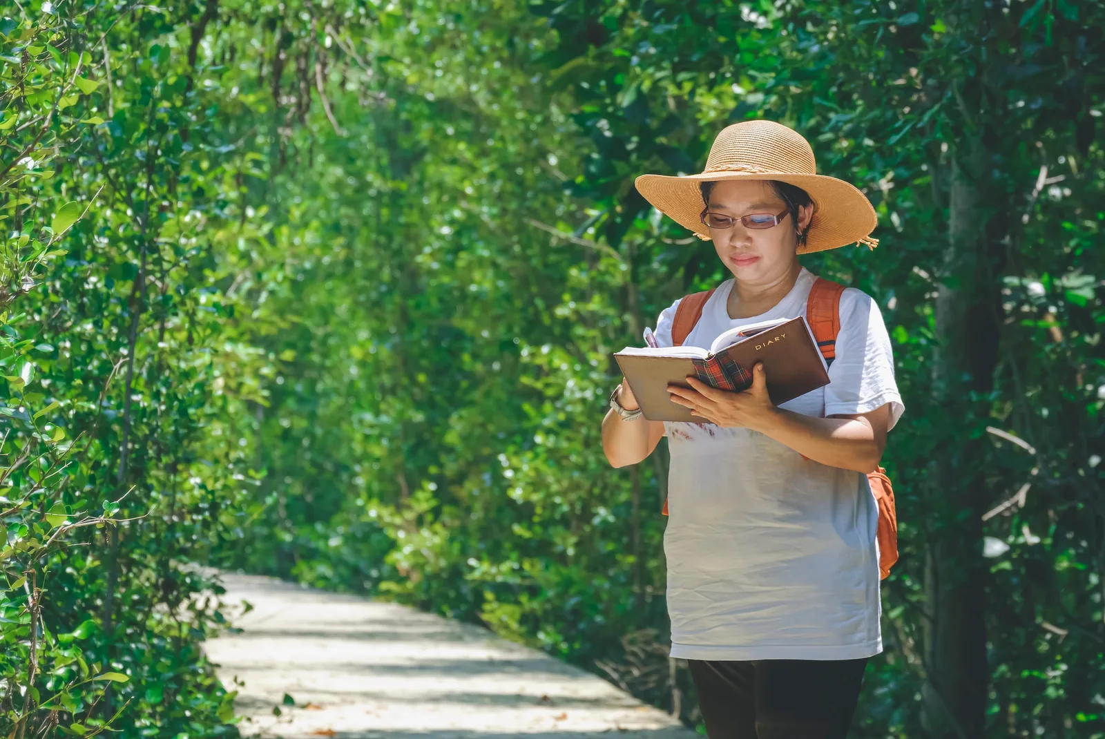 female tourist taking notes during ecotourism on walkway in mangrove forest at natural parkland