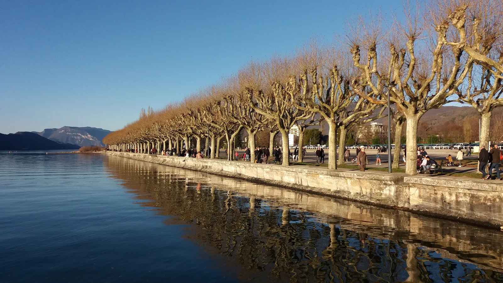 Le Boulevard du Lac à Aix-les-Bains : l’allée de platanes taillés le long du lac du Bourget, un jour d’hiver.